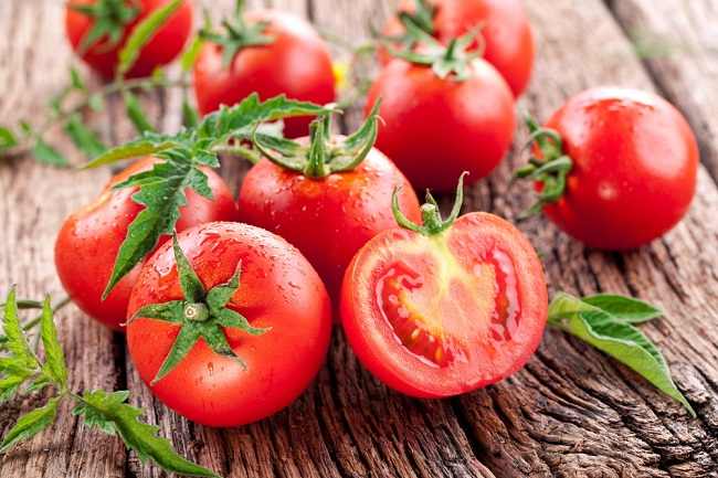 sayuran tomat